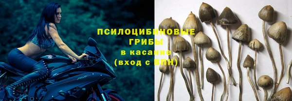 амф Армянск