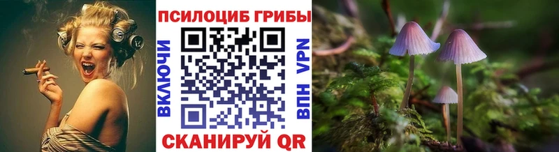 Галлюциногенные грибы GOLDEN TEACHER  Купить где  Рославль 